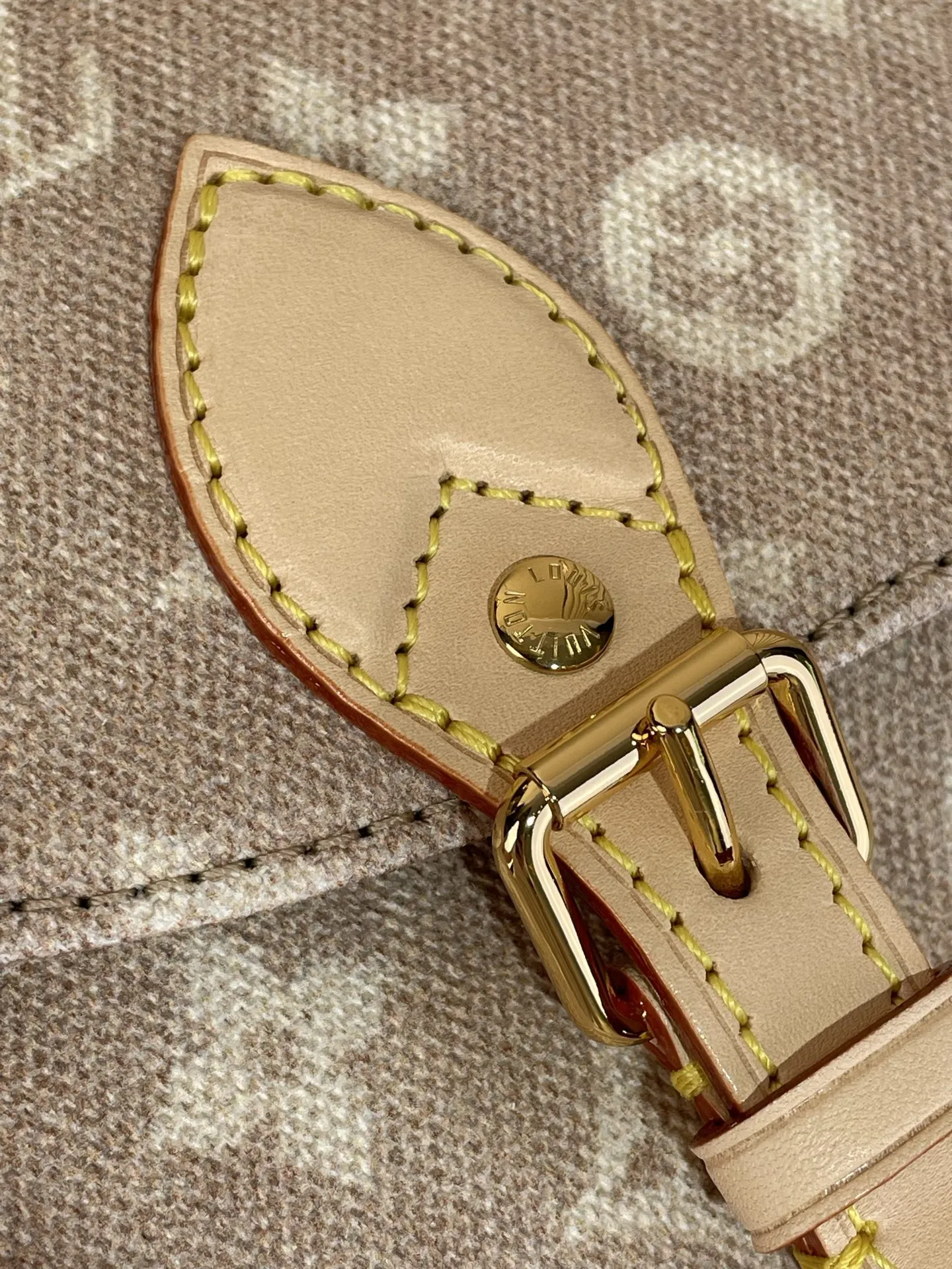 Louis Vuitton Escape M15134 - 图片 7