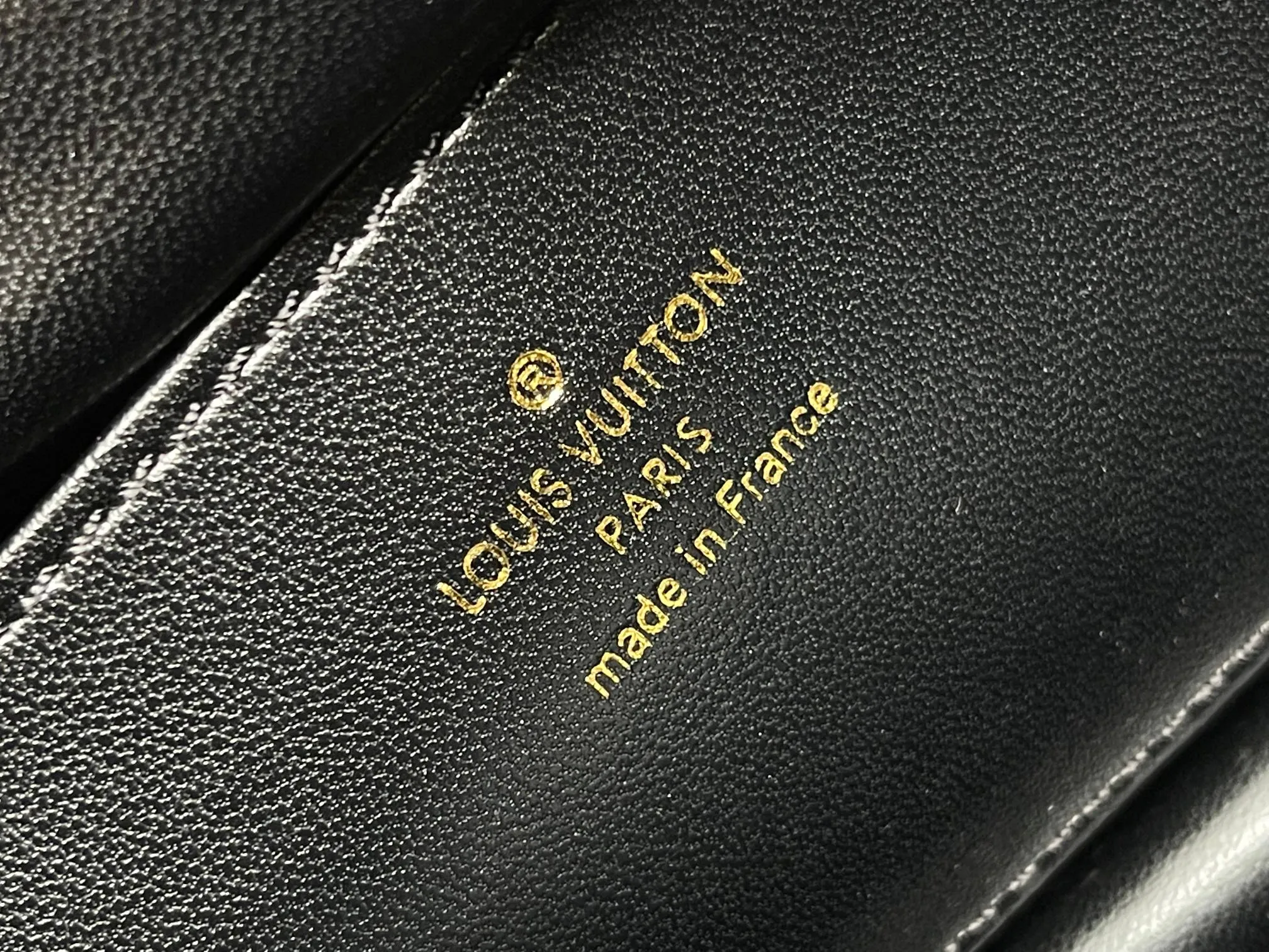 Louis Vuitton Capucines MM Souple M12924 - 图片 18