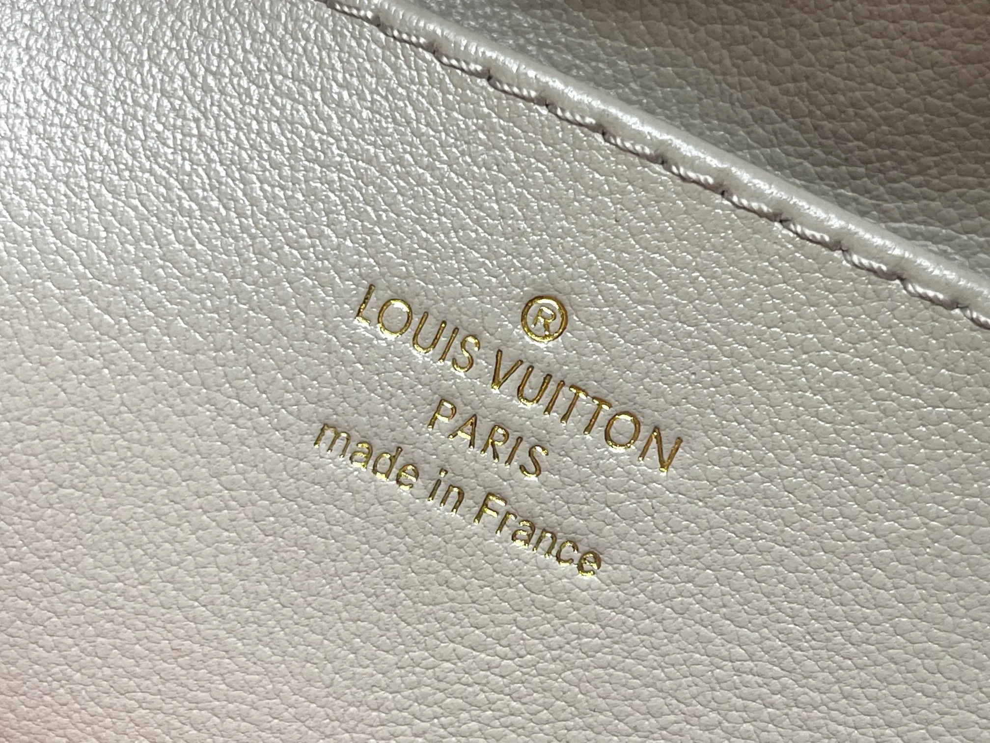 Louis Vuitton Capucines MM Souple M12929 - 图片 19