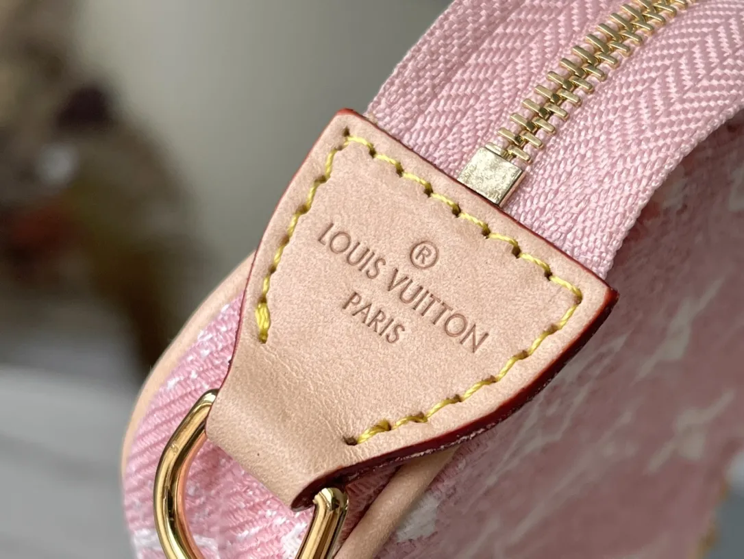 Louis Vuitton Micro Pochette Accessoires M81176 - 图片 9