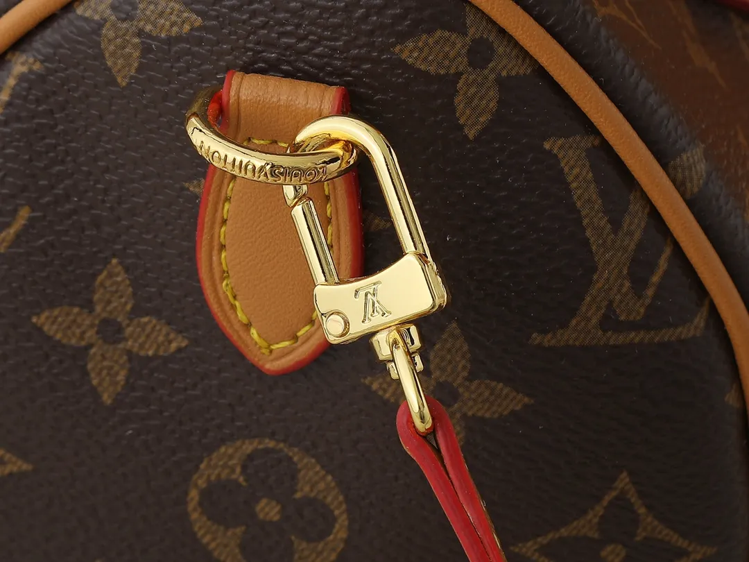Louis Vuitton Speedy Bandouli??re 20 Monogram Handbag - 图片 6