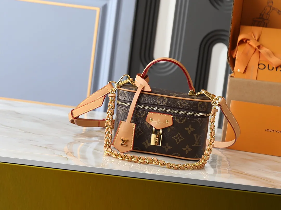 Louis Vuitton Vanity Chain Pouch Handbag Classic
