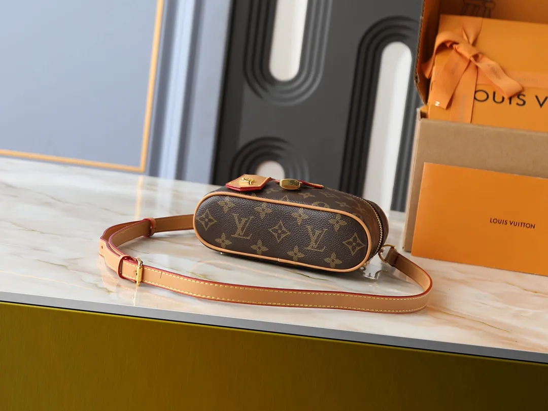 Louis Vuitton Vanity Chain Pouch Handbag Classic - 图片 4