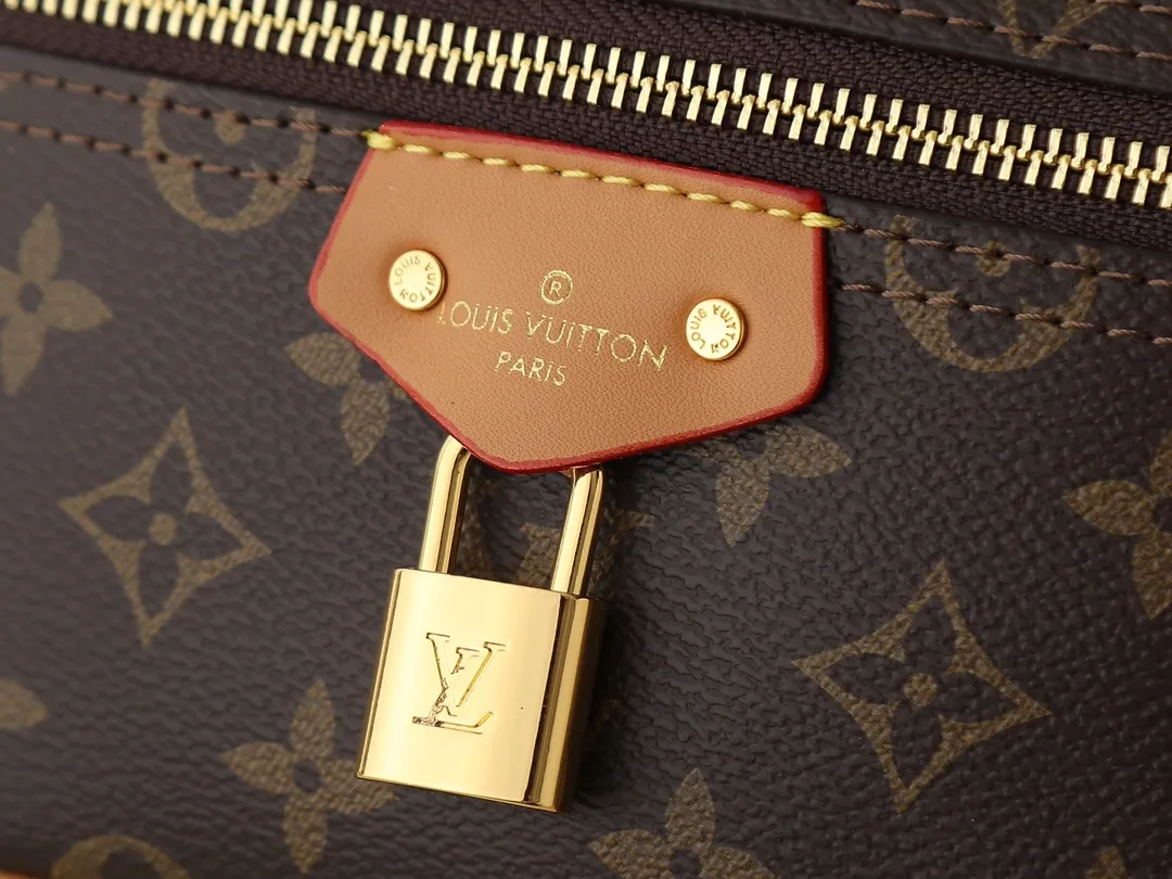 Louis Vuitton Vanity Chain Pouch Handbag Classic - 图片 5
