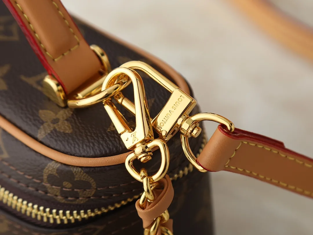 Louis Vuitton Vanity Chain Pouch Handbag Classic - 图片 6