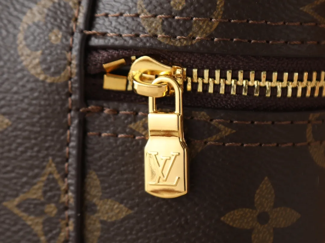 Louis Vuitton Vanity Chain Pouch Handbag Classic - 图片 7