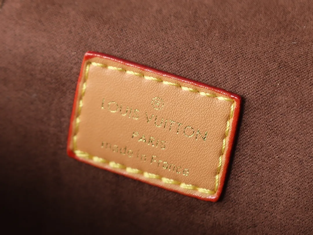 Louis Vuitton Vanity Chain Pouch Handbag Classic - 图片 8