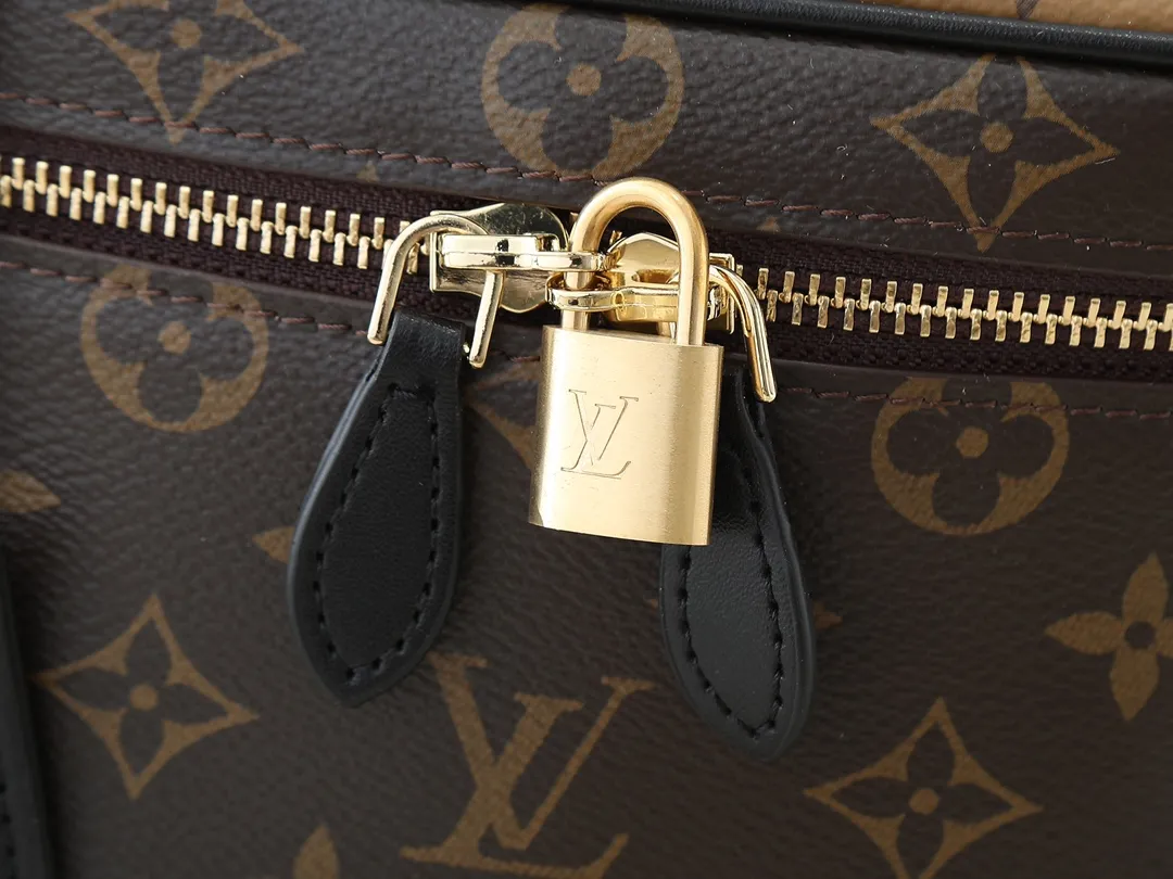 Louis Vuitton Vanity PM Handbag Monogram Reverse Classic - 图片 5