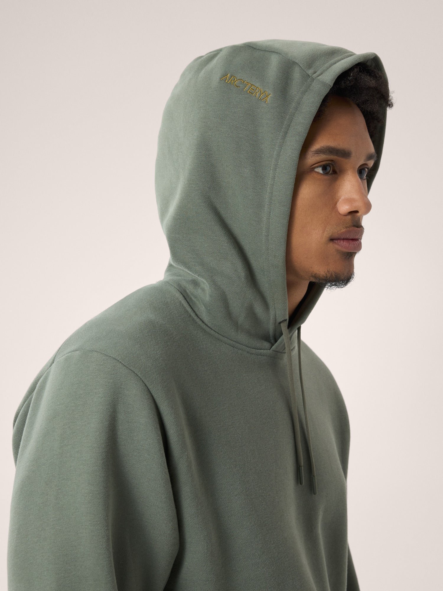 Alternative view of Emblem Fleece Hoody Men's