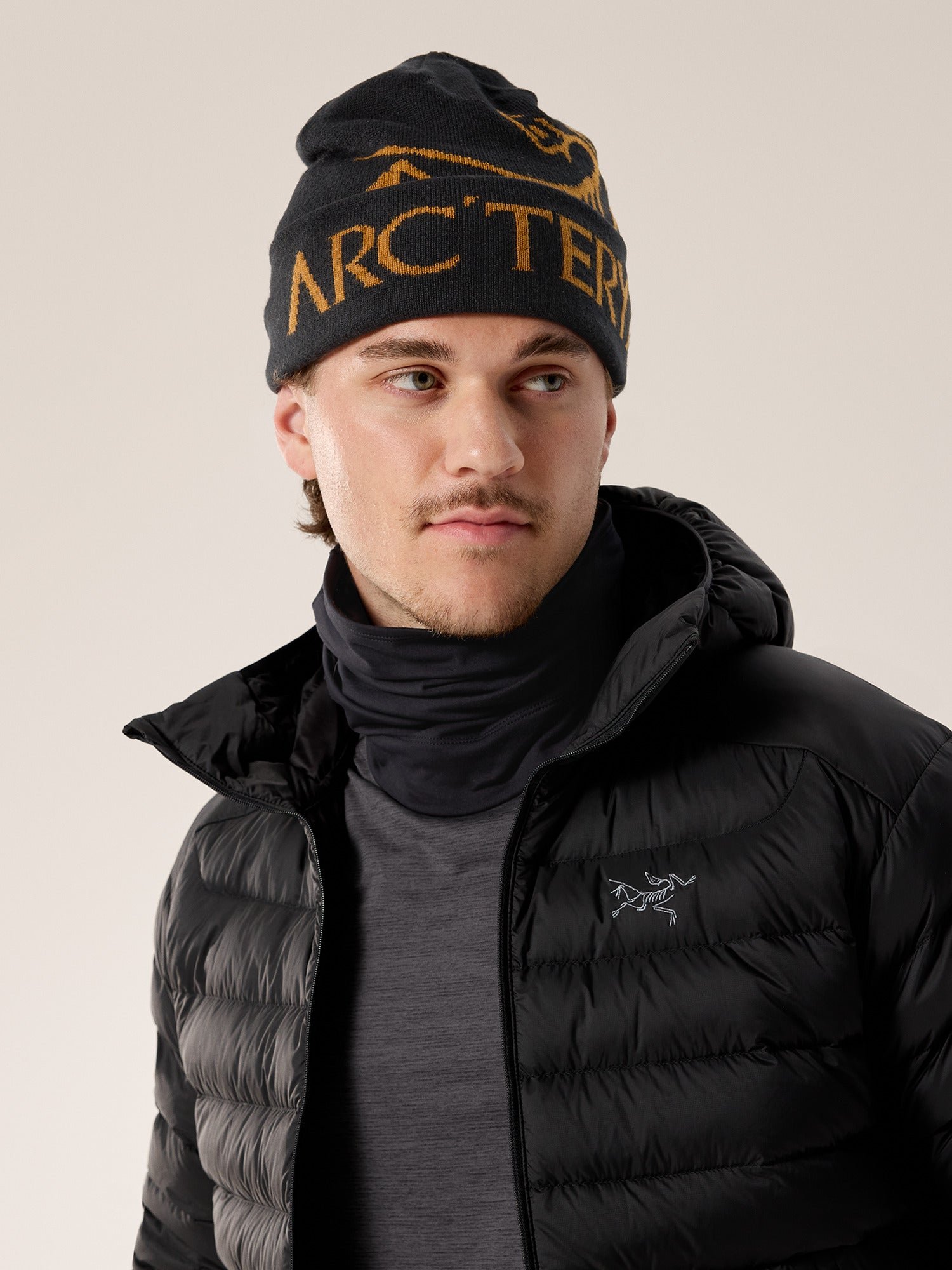 Alternative view of Bird Word Toque