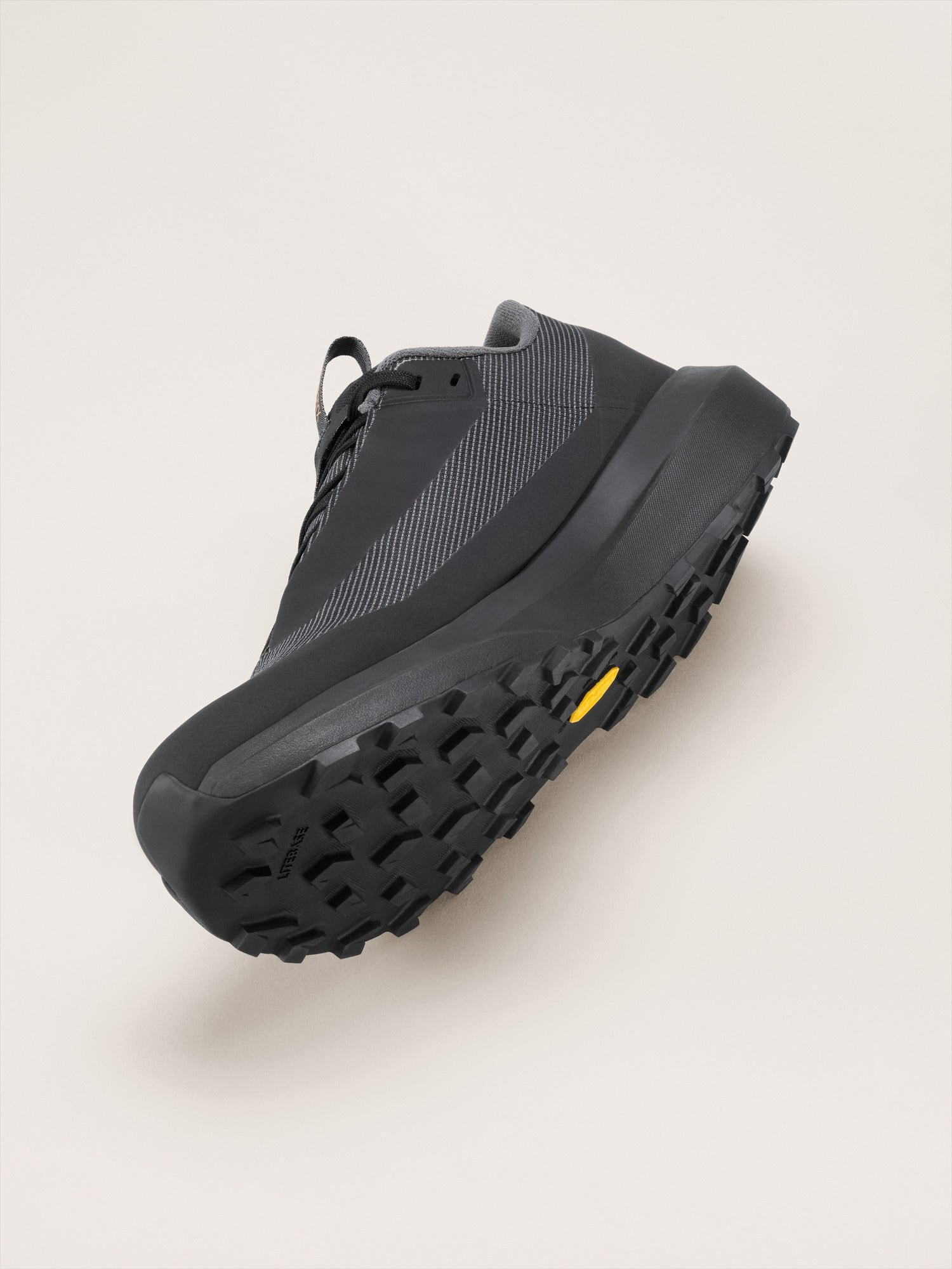 Norvan LD 4 GTX Shoe Women's - 图片 3