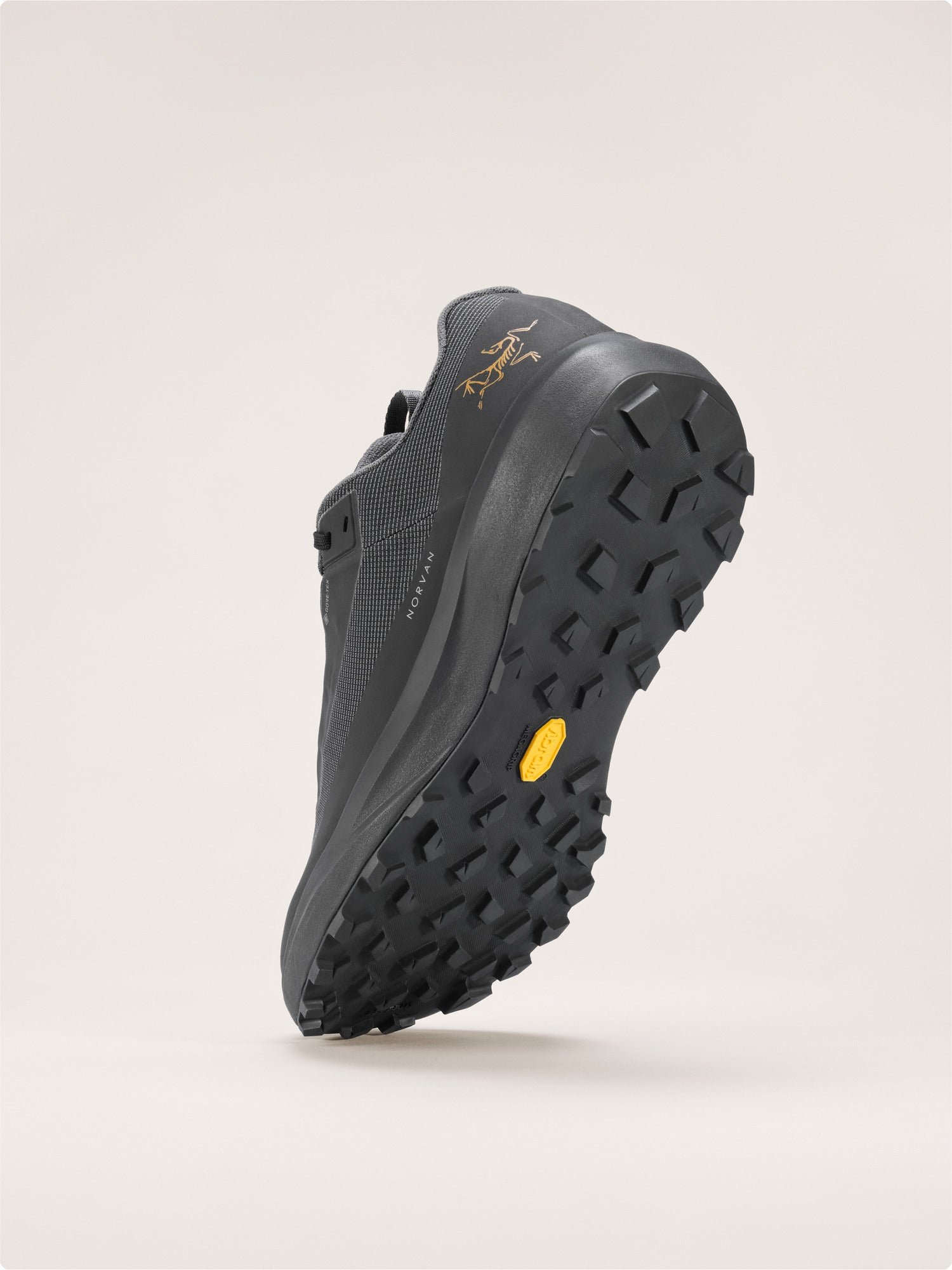 Norvan LD 4 GTX Shoe Women's - 图片 5
