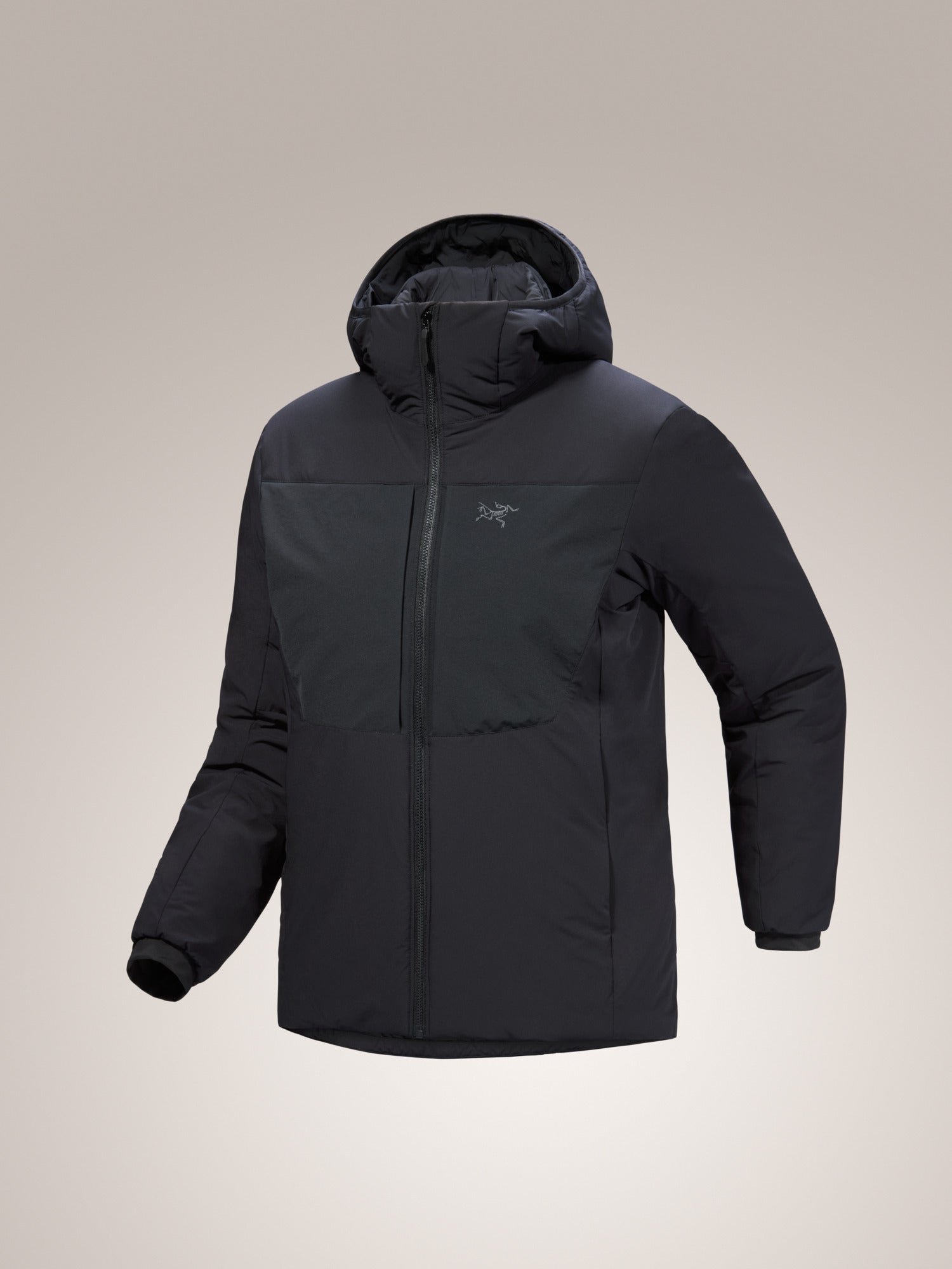 Proton Heavyweight Hoody Women's - 图片 10