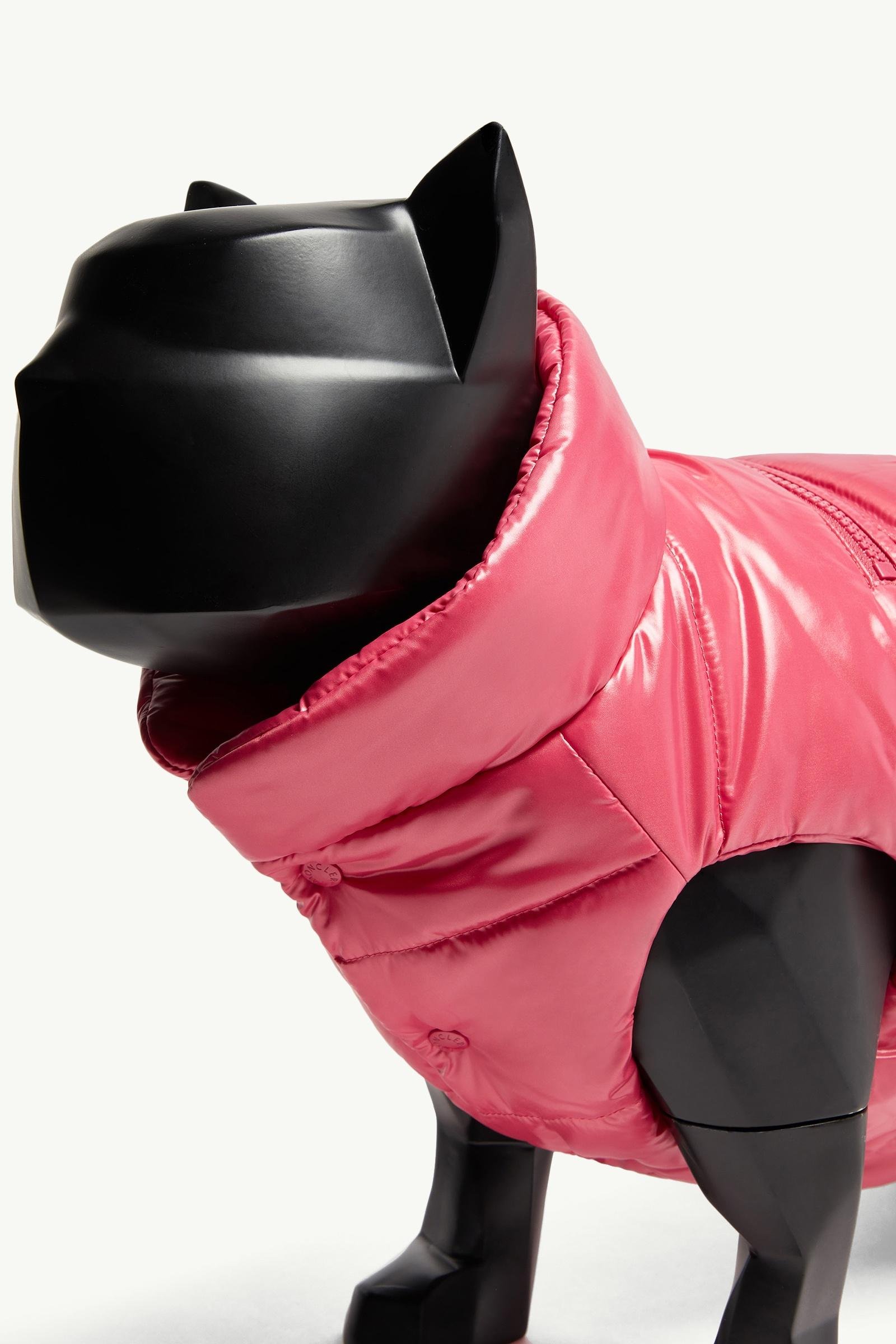 Alternative view of Padded Dog Gilet