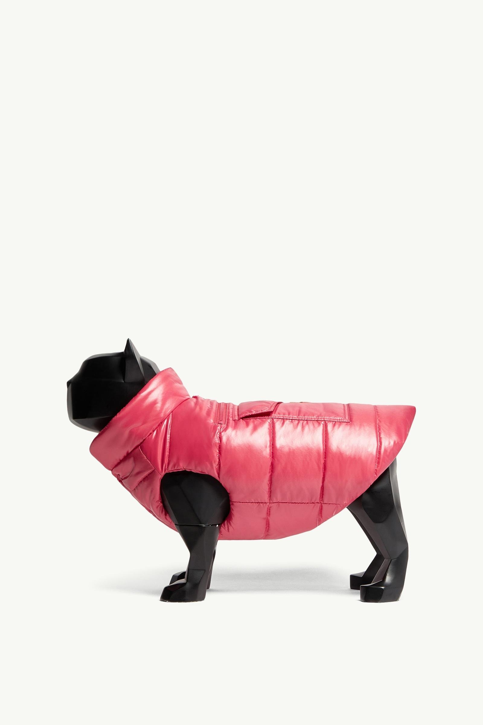 Padded Dog Gilet