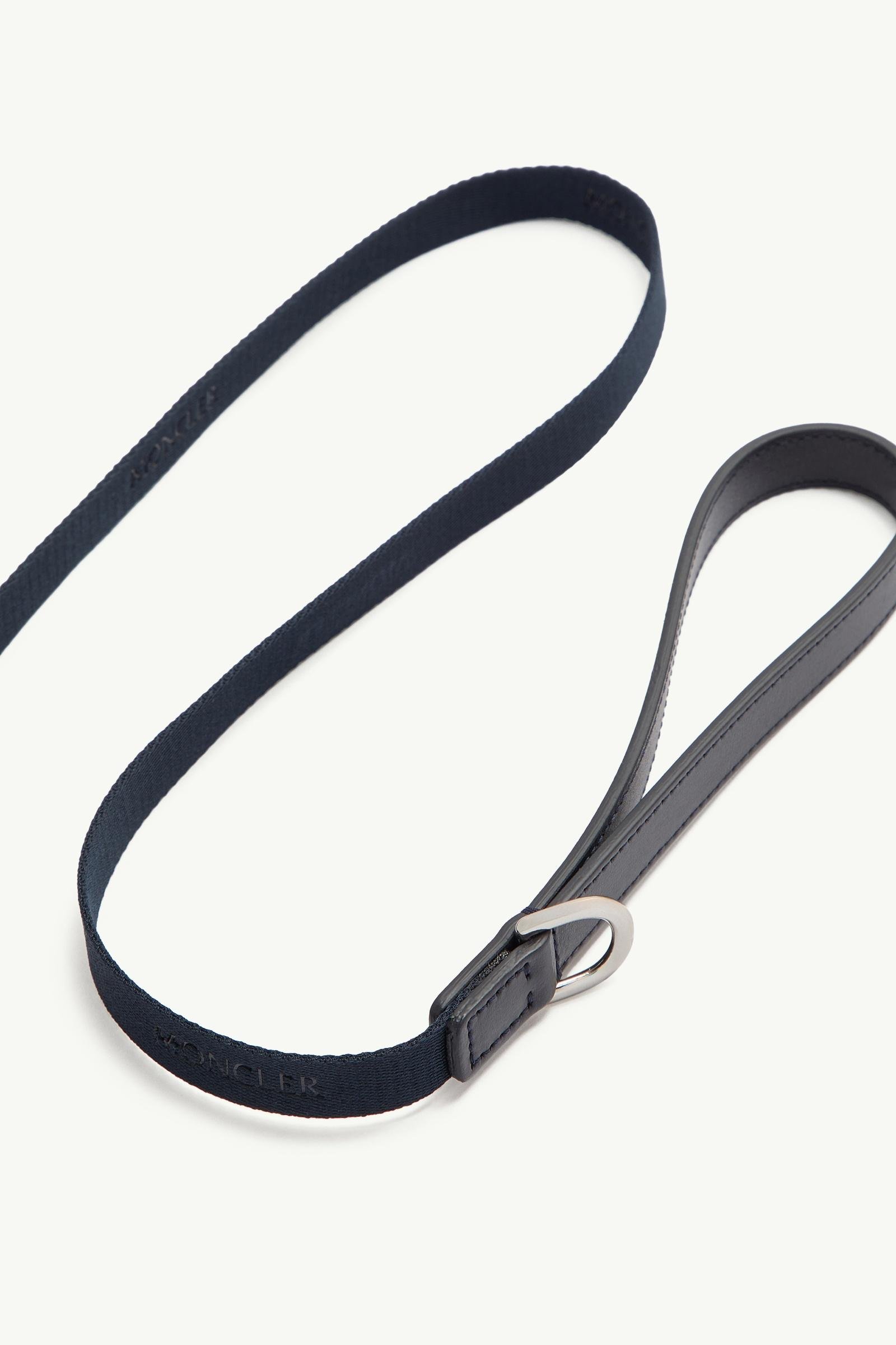 Alternative view of Logo Dog Leash
