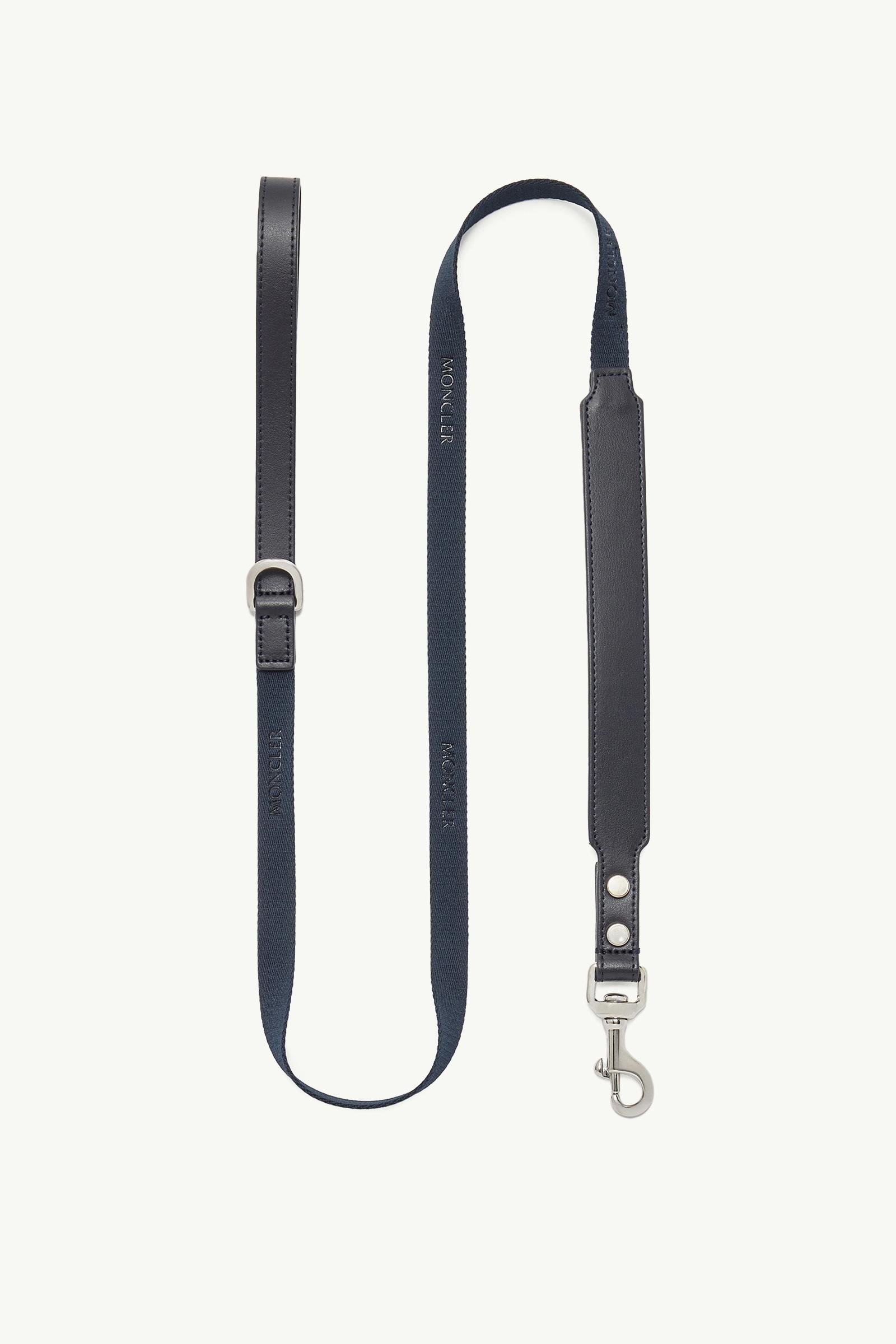 Logo Dog Leash