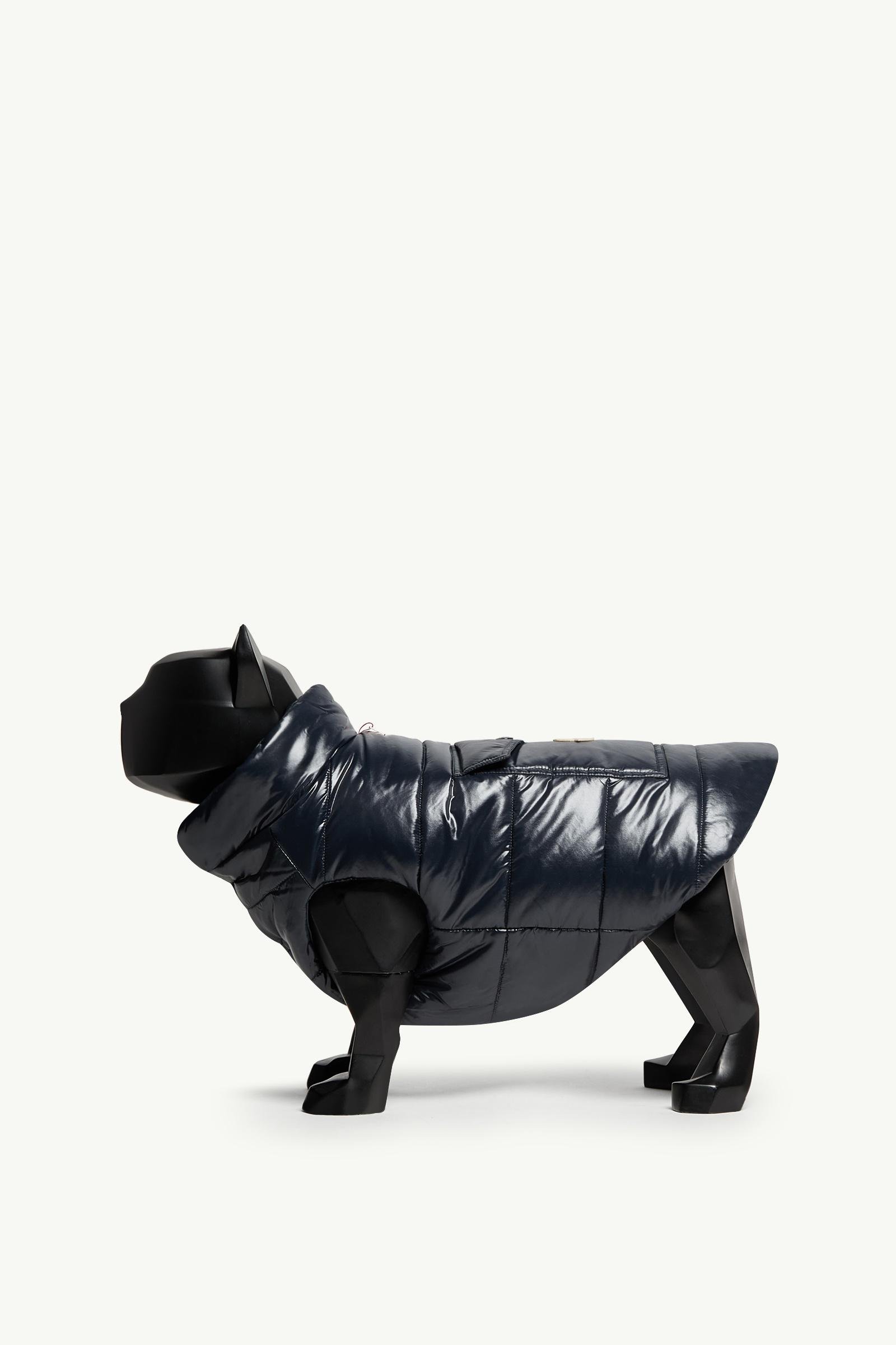 Padded Dog Gilet