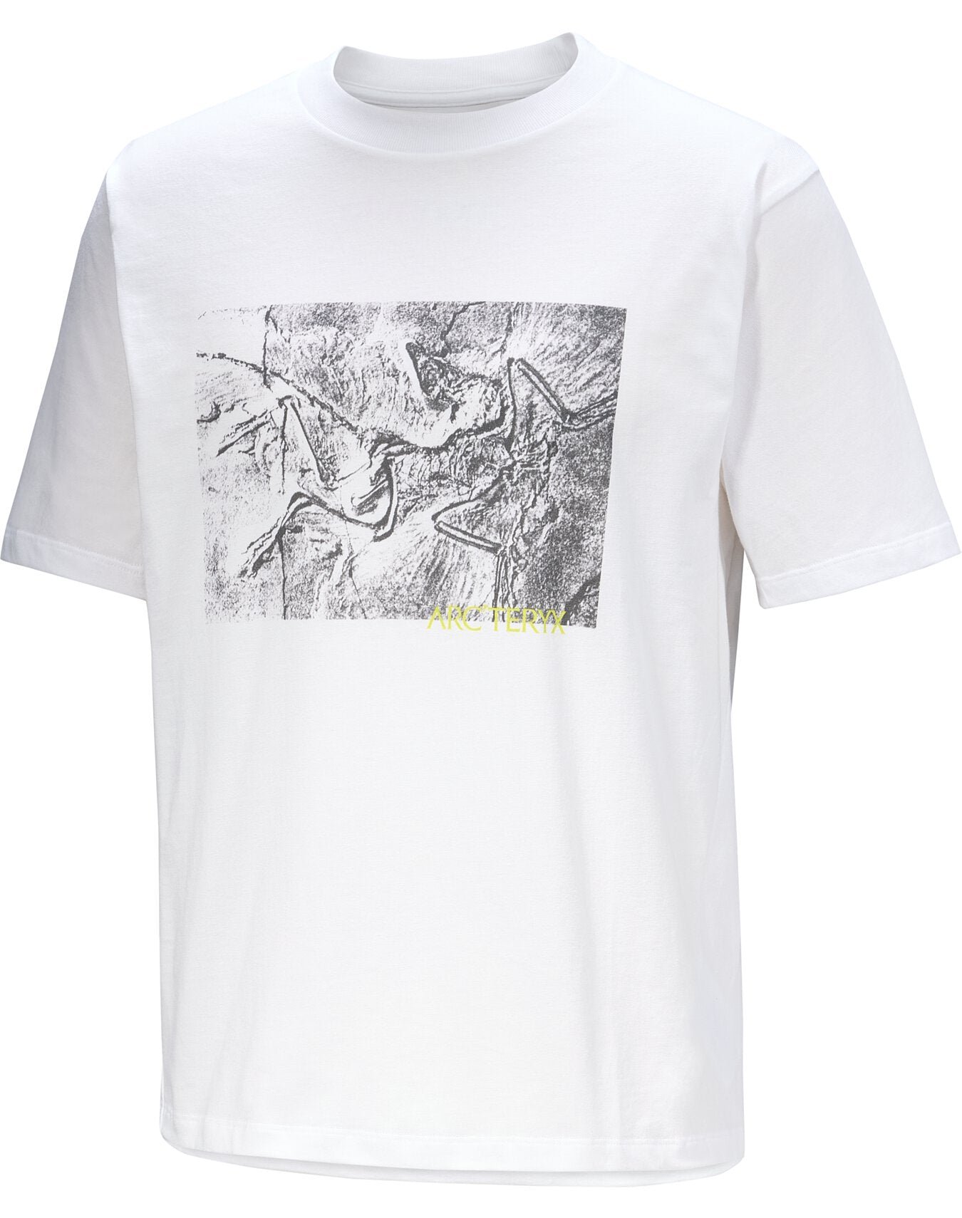 Kragg Cotton Lithographica Shirt SS Men's - 图片 8