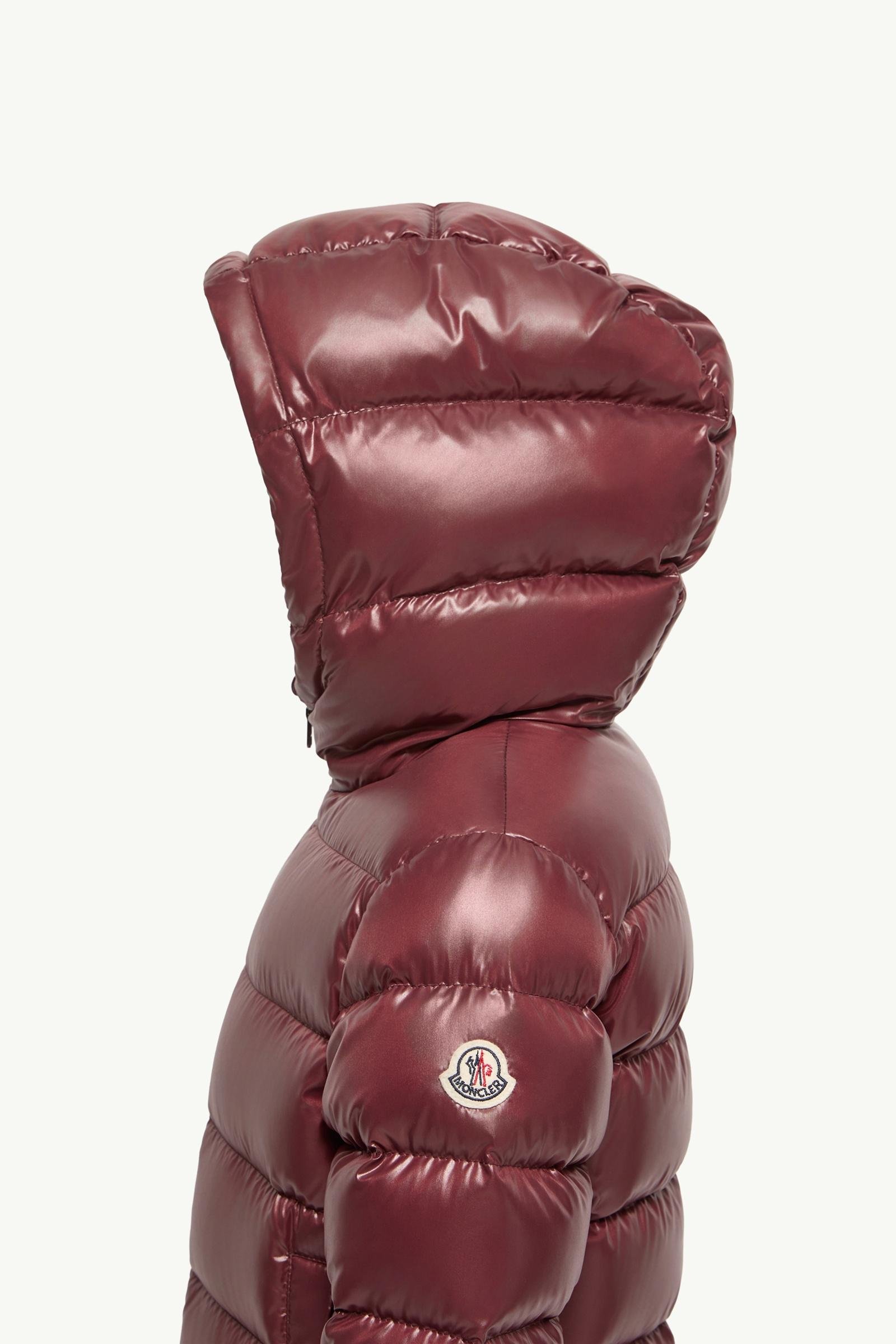 New Aubert Hooded Down Jacket - 图片 3