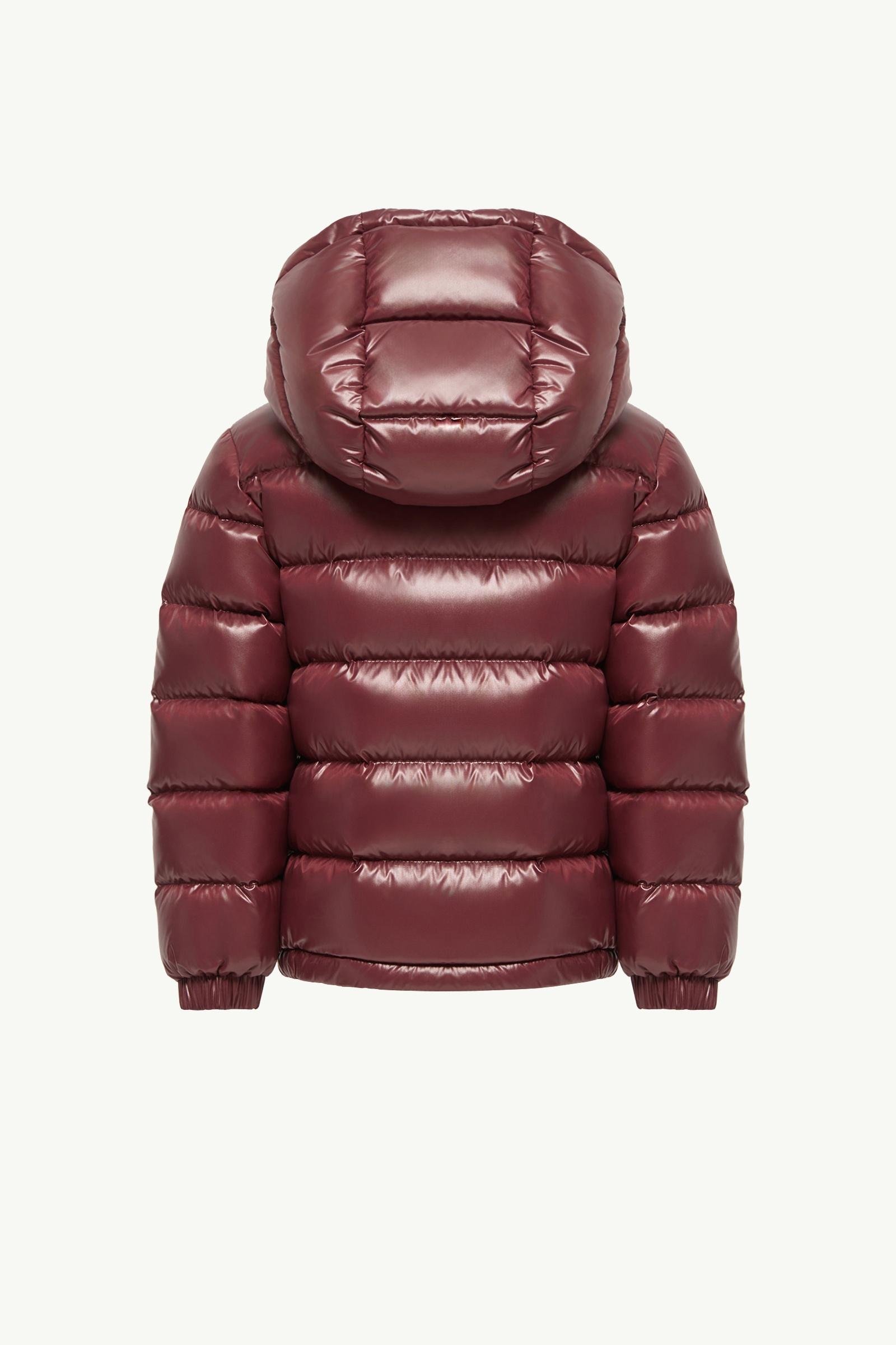 New Aubert Hooded Down Jacket - 图片 4