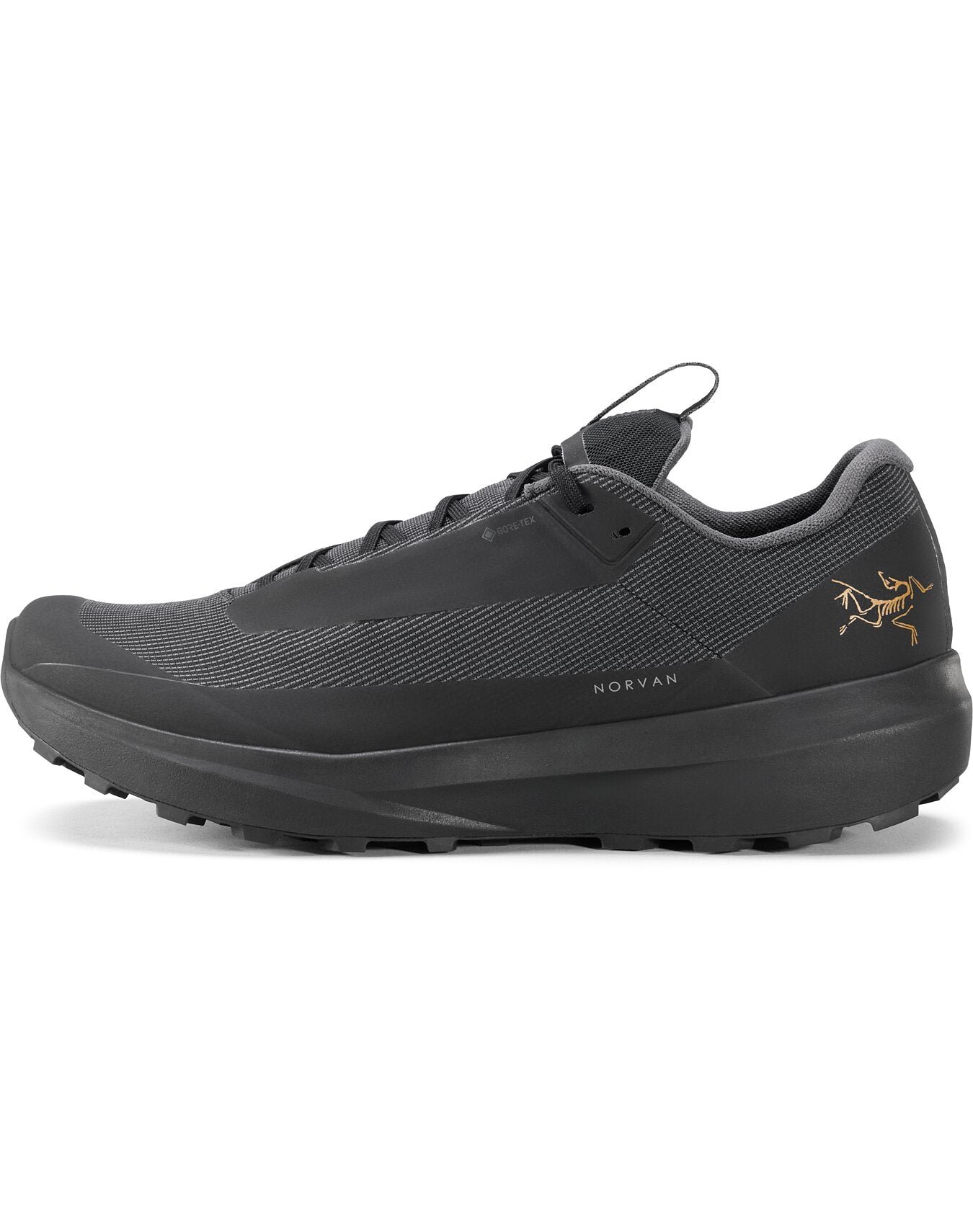 Norvan LD 4 GTX Shoe Men's - 图片 6