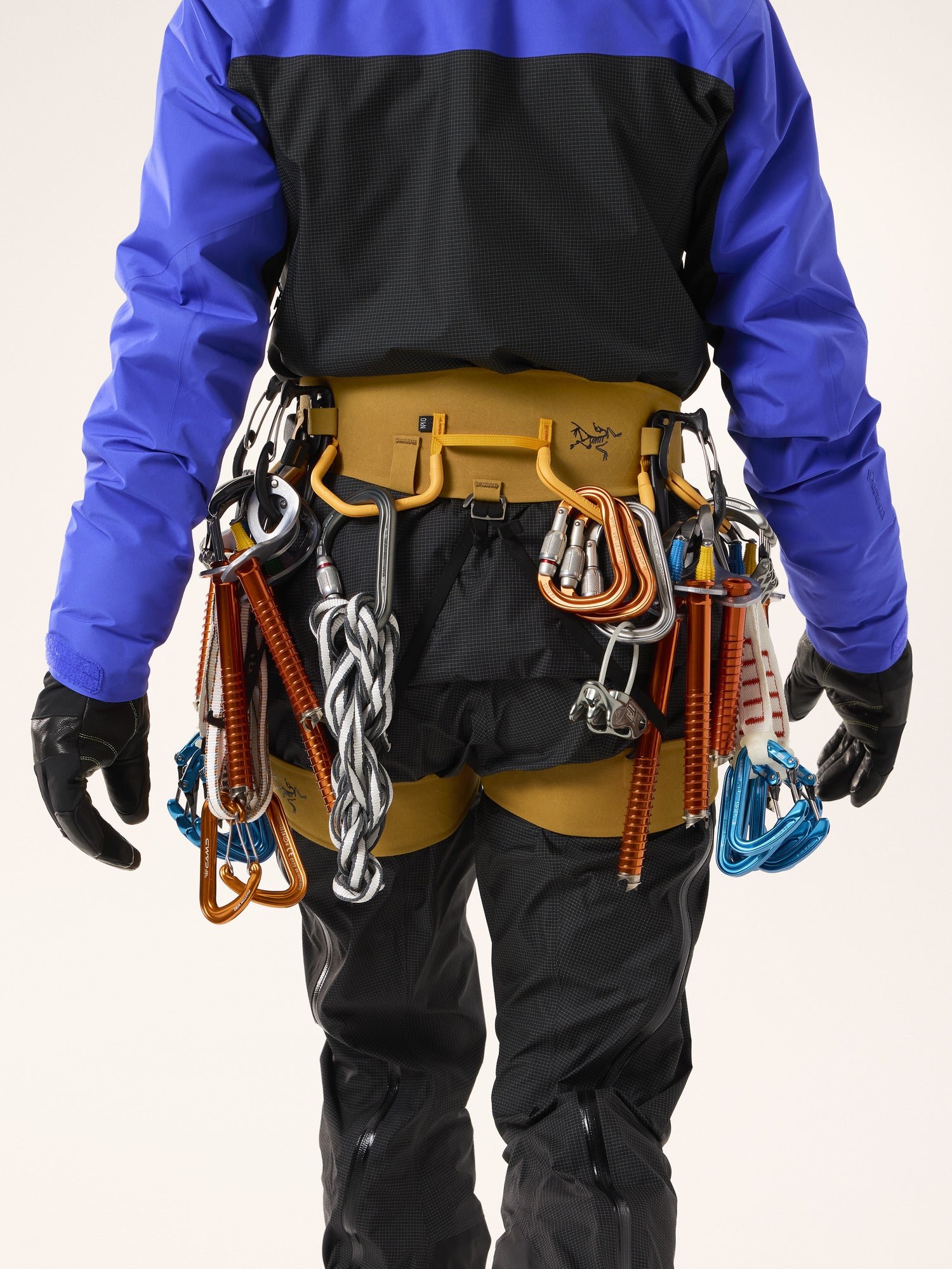 AR-385a Harness Women's - 图片 3