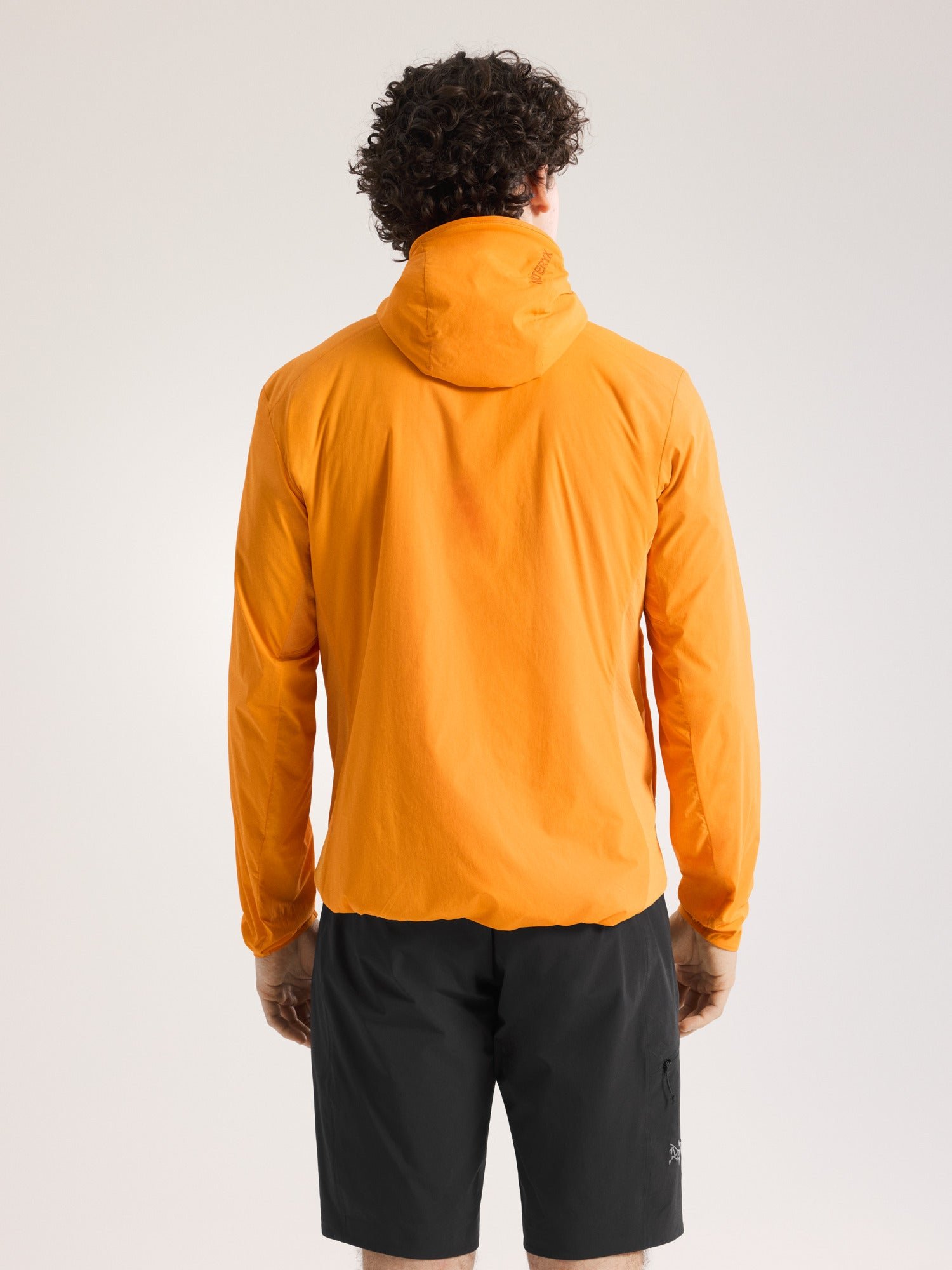 Atom SL Hoody Men's - 图片 4