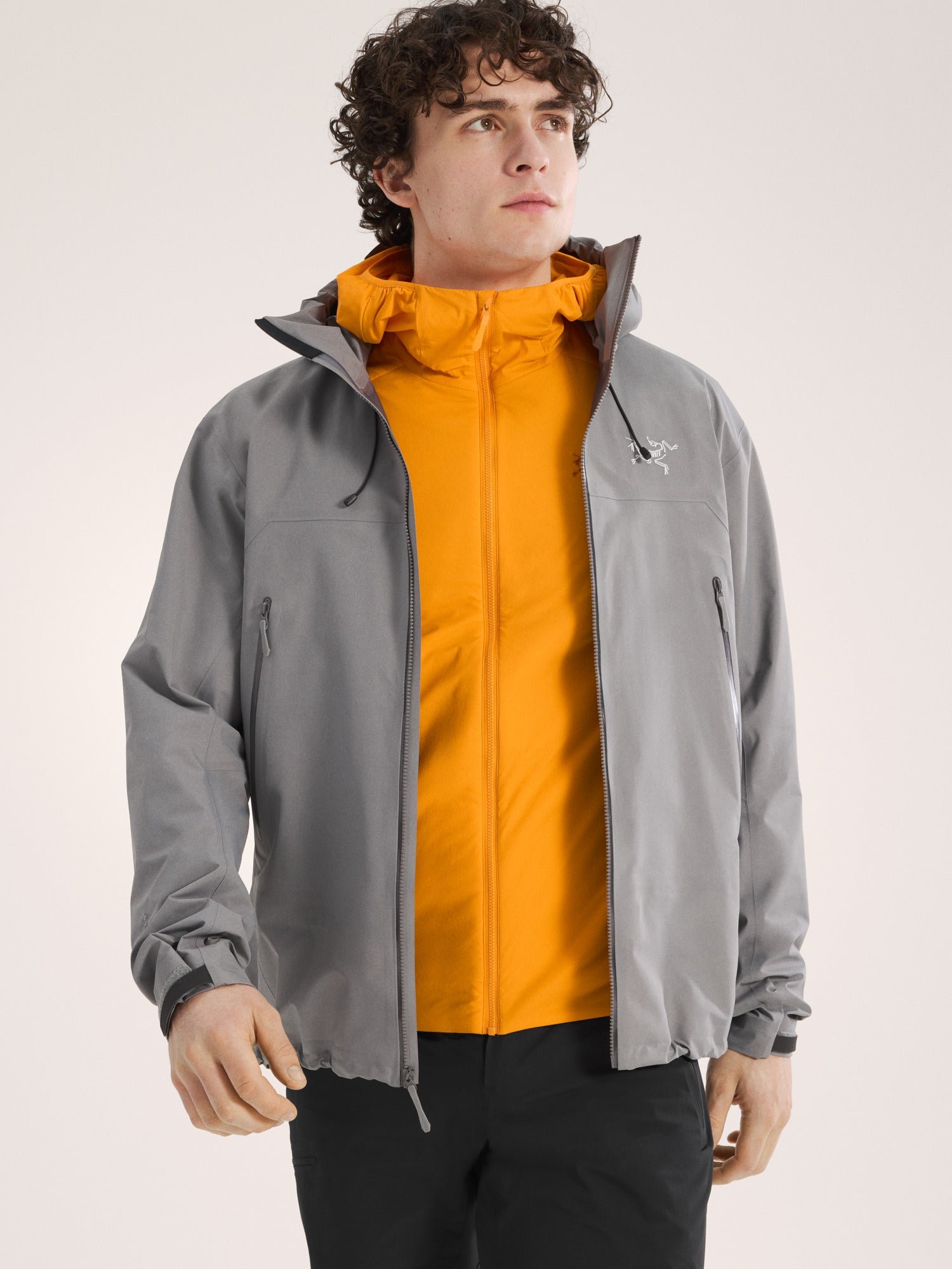 Atom SL Hoody Men's - 图片 5