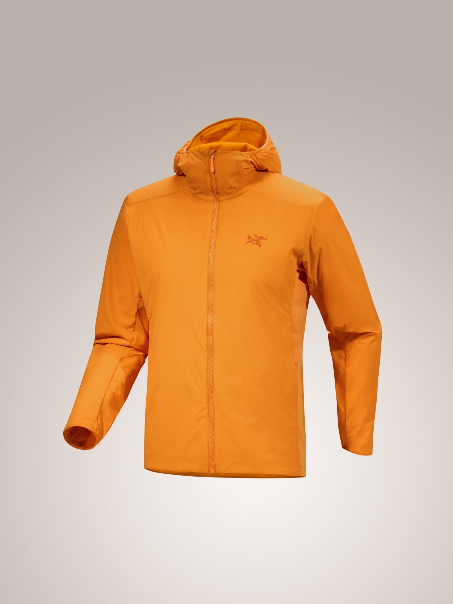 Atom SL Hoody Men's - 图片 12